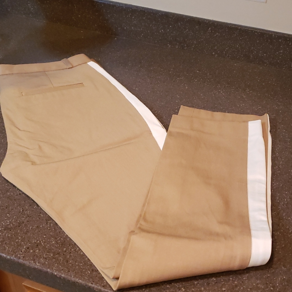 Dress pants